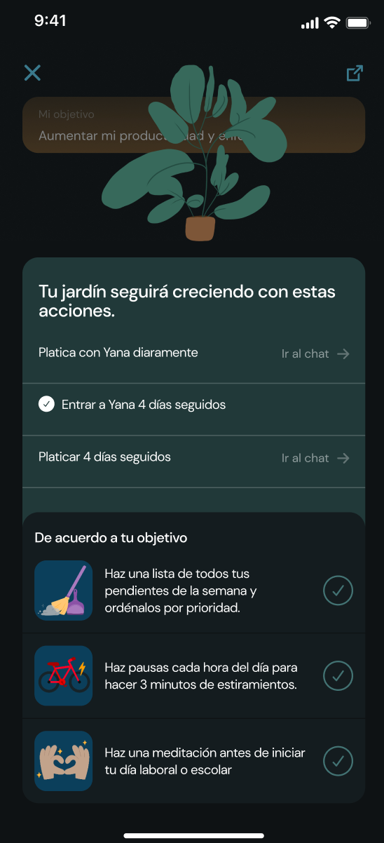Yana — Designing a guided wellness experience — visual 5